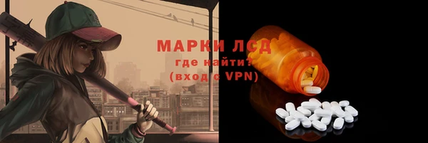 гидропоника Алзамай